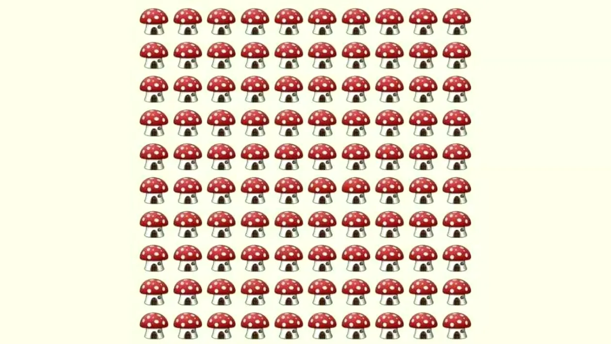 Test IQ | Ai mintea ageră dacă vezi unde se ascunde ciuperca diferită din poza, în doar 7 secunde!