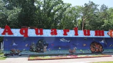 Primaria Capitalei le-a pregatit zeci de surprize copiilor, de ziua lor!