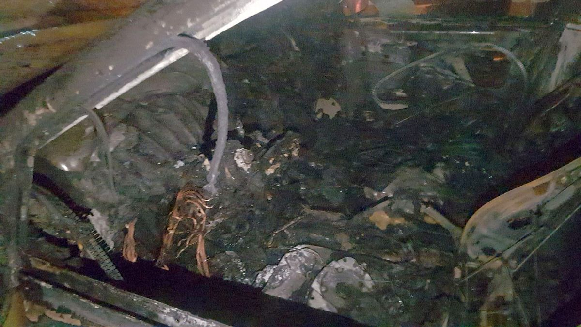 Atac mafiot la Timișoara! Mașina unui cunoscut jurnalist, incendiată! “Această acțiune mă face să…”