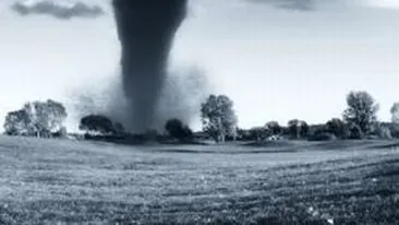 VIDEO Tornada in Bistrita-Nasaud: acoperisurile a doua case si mai multi copaci, luate pe sus!