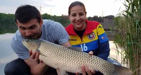 Galerie foto - poza 2