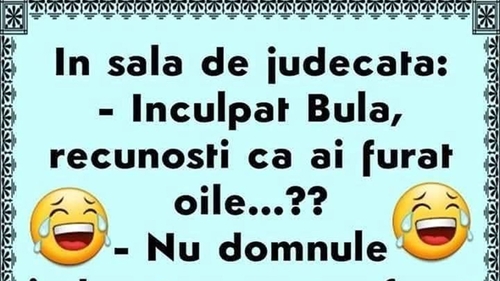 BANC | "Inculpat Bulă, recunoști că ai furat oile?"