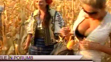 E criza si printre vedete! Sanziana Buruiana si Andreea Tonciu, de pe podium, la cules de porumb!