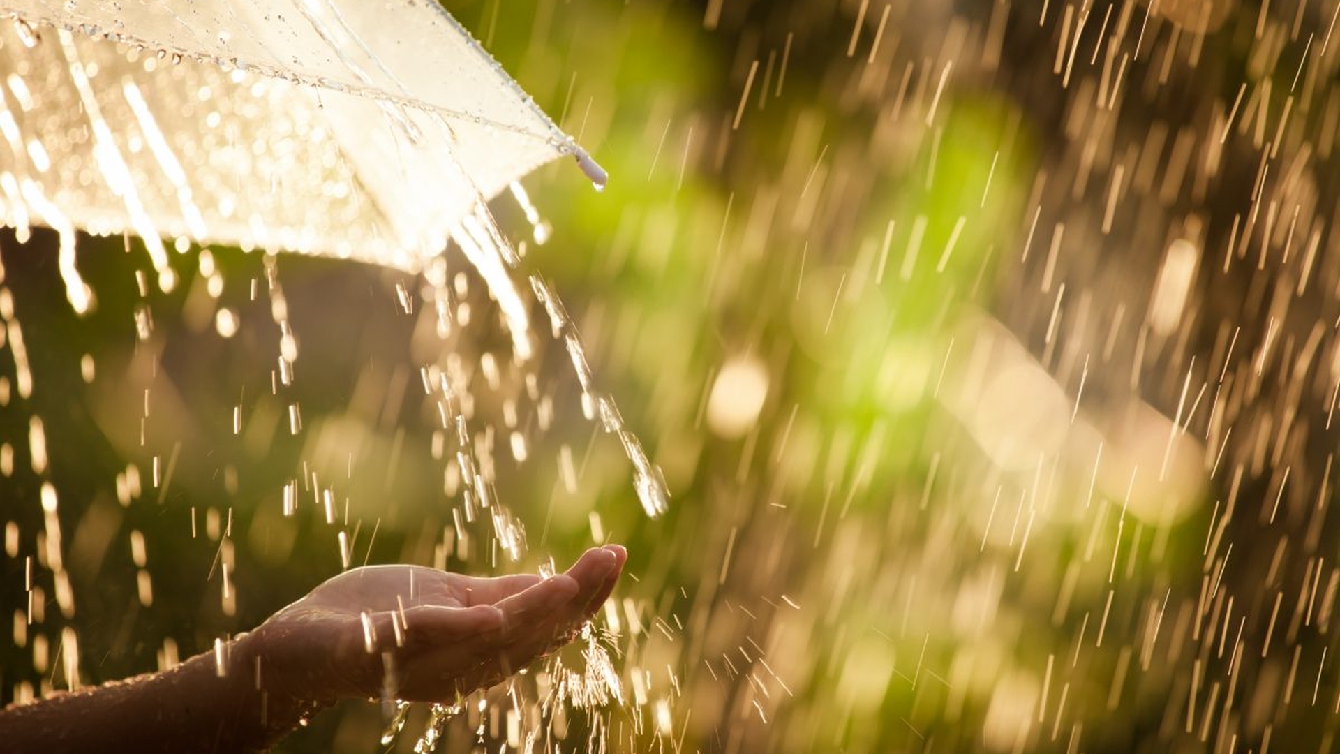 Vremea se schimbă radical! Coduri portocalii și galbene de caniculă, vijelii şi grindină emise de meteorologi