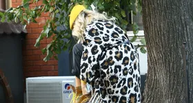 Galerie foto - poza 1