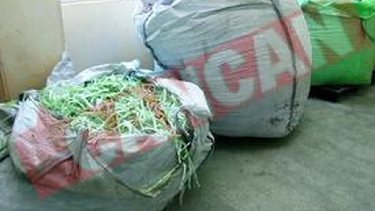 Bancnotele uzate ajung in cosul de gunoi