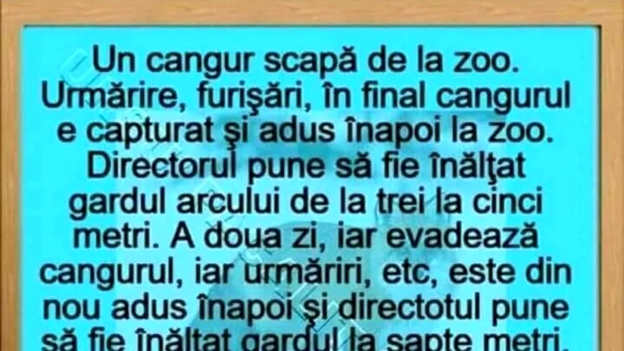BANCUL ZILEI | Un cangur scapă de la zoo