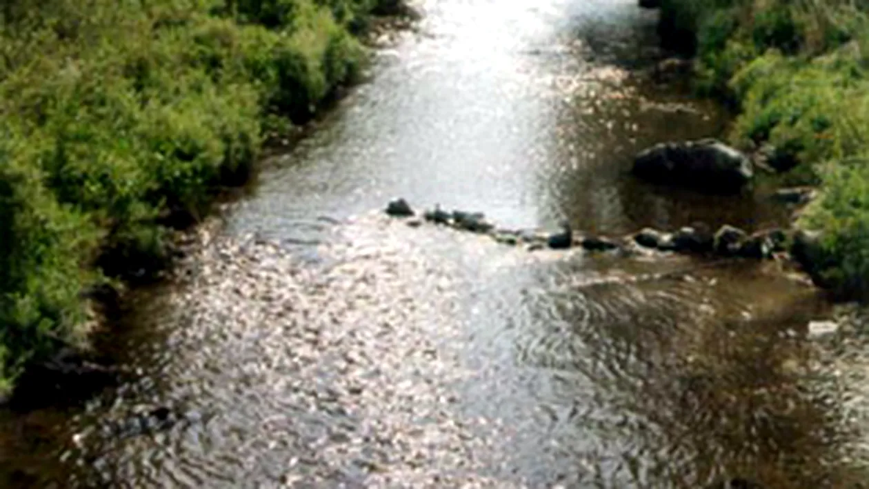 Un copil de sase ani a disparut dupa ce a cazut cu caruta intr-un rau