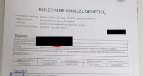 Galerie foto - poza 3