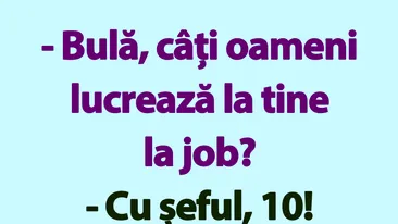 BANC | Bulă, câți oameni lucrează la tine la job?