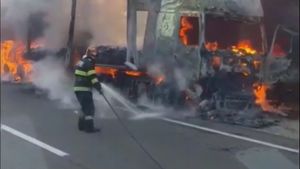 A luat foc pădurea din Giurgiu! Totul a pornit de la un camion VIDEO