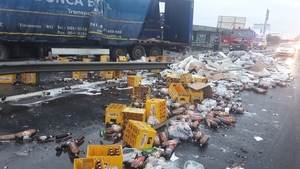 Un TIR cu bere s-a răsturnat pe Autostrada București-Pitești. Toată încărcătura s-a împrăștiat pe șosea