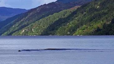 Aceasta este cea mai clara DOVADA! Creatura care era legenda pana azi a fost filmata in Marea Britanie. Vezi VIDEO