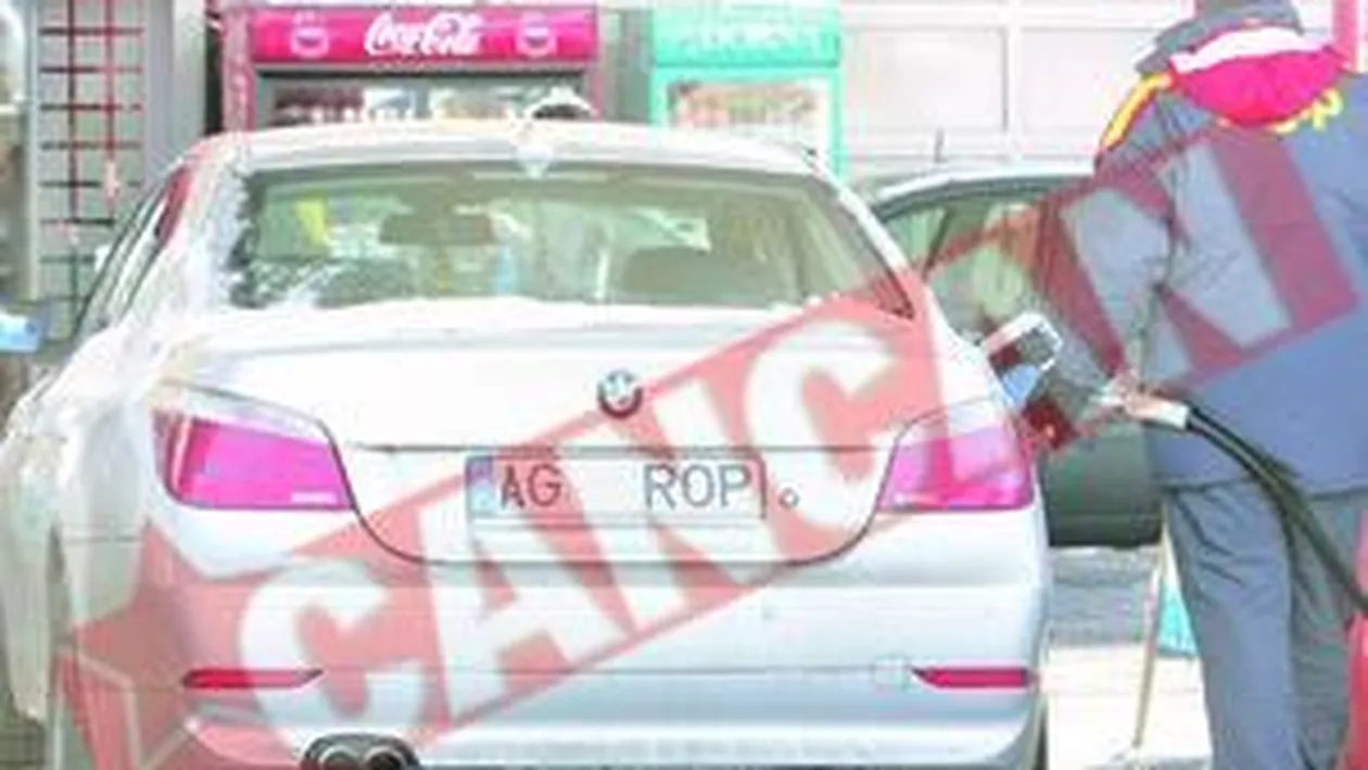 Stelea si Ropotan se ignora