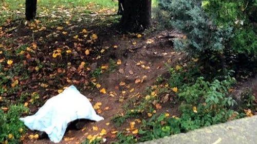 Român, găsit mort sub un pod din Italia! Bărbatul avea 35 de ani