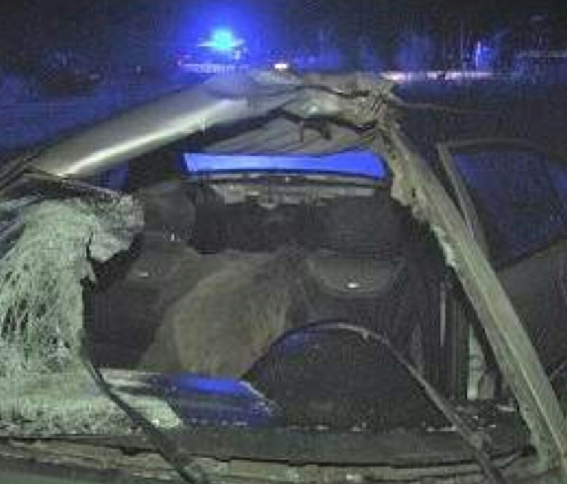 Grav accident în Dâmbovița. În urma impactului, un șofer s-a trezit cu un mistreț peste el