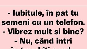 BANC | "Iubitule, în pat semeni cu un telefon"