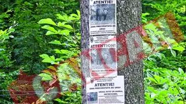 Comoara de sub castelul Peles