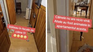 IREAL! Ce-a putut să găsească un proprietar din Capitală în apartamentul pe care îl închiriase unui cuplu