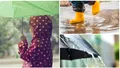 Cod galben de ploi și vijelii pe 1 iunie. Ce trebuie să știe despre vreme părinții care fac activități cu copiii în aer liber