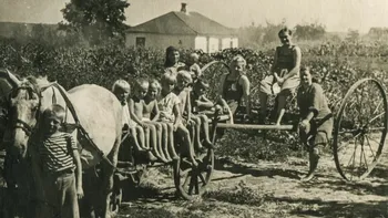 De ce erau slabi țăranii în 1895. Ce aliment consumau și de 3 ori pe zi