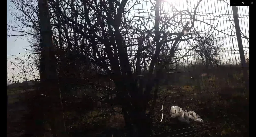 Imperiul TEC, în paragină