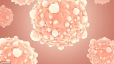 REVOLUŢIONAR. Cercetătorii au descoperit un element foarte important în tratarea cancerului 