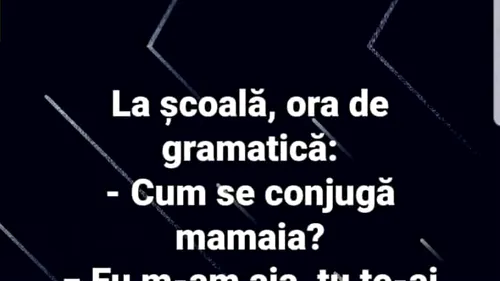 BANC | Ora de gramatică: Cum se conjugă 'mamaia'?