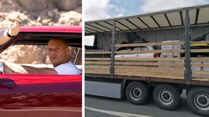 S-a inspirat din filmele cu Vin Diesel, dar nu i-a ieșit! Ce a ascuns un român în remorca unui camion, fiind convins că îi va păcăli pe vameși