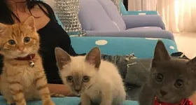 Galerie foto - poza 2