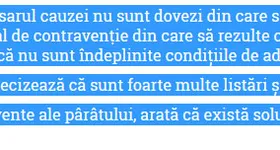 Galerie foto - poza 3