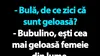 BANC | Bula și nevasta hiper-geloasă