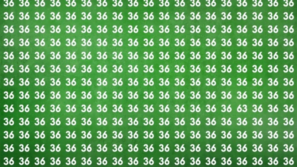 Iluzie optică virală | Depistați numărul 63 ascuns printre 36! Doar 1 dintre 100 de oameni poate