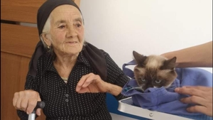 Gestul emoţionant al unei bătrâne. Cum a fost surprinsă bunica alături de pisica ei