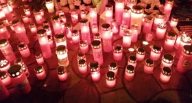 Galerie foto - poza 4