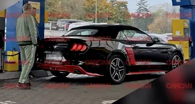 Galerie foto - poza 2