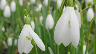 Vremea frumoasă se lasă aşteptată din nou! Află ce temperaturi vor fi la inceputul săptămânii viitoare