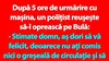 BANC | După 5 ore de urmărire cu mașina, un polițist reușește să-l oprească pe Bulă