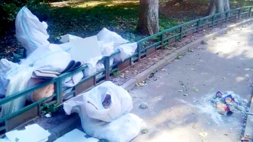 Un bucureștean a fost taxat dur, după ce și-a aruncat gunoiul pe stradă. Ce amendă a primit bărbatul