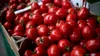 Un kilogram de roșii românești costă aproape 70 de lei. Care este motivul