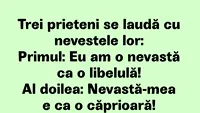 BANCUL ZILEI | 3 prieteni se laudă cu nevestele lor