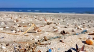 Locul de pe litoralul românesc unde cazarea costă doar 30 de lei pe noapte