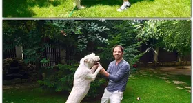 Galerie foto - poza 3