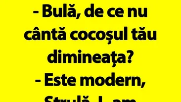 BANC | Cocoșul modern al lui Bulă