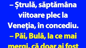 BANC | Bulă se duce în concediu în Veneția