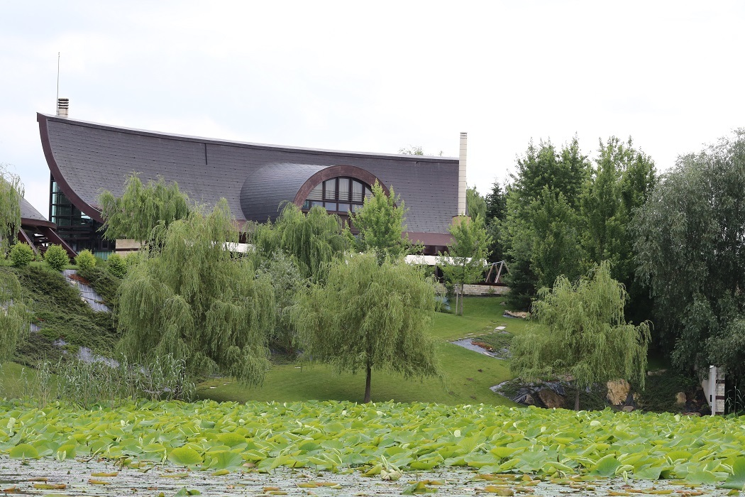 Vila de la Snagov a milionarului Yoav Shtern