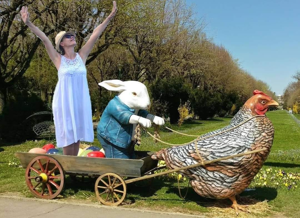 Alegerile locale, o sursă bună pentru glume! Iată care sunt cele mai haioase