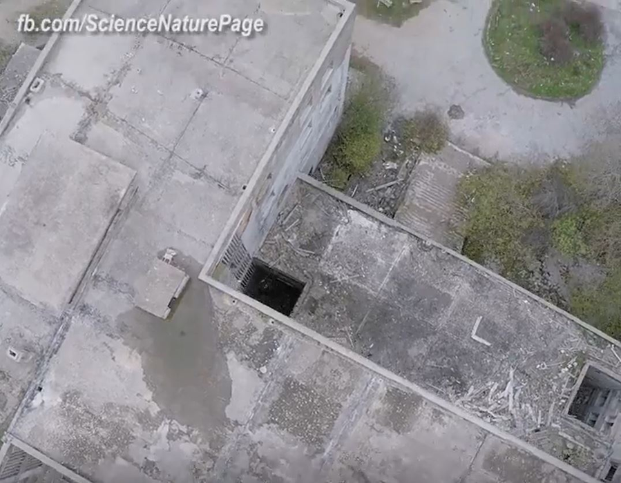 Cum ar arăta Terra dacă toți oamenii ar dispărea. Imagini virale în plină pandemie COVID-19