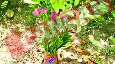 Ralph ar fi implinit 19 ani