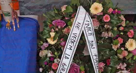 Galerie foto - poza 2